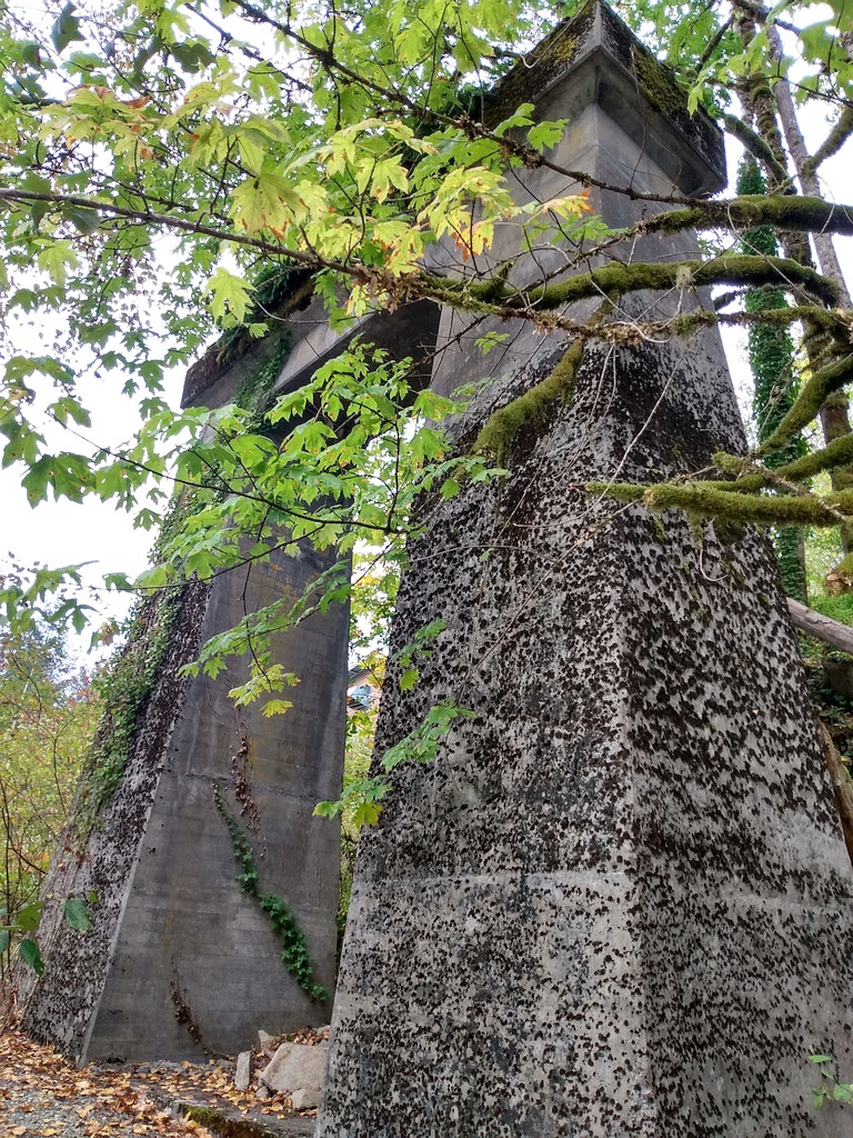 Railroad bridge piers 